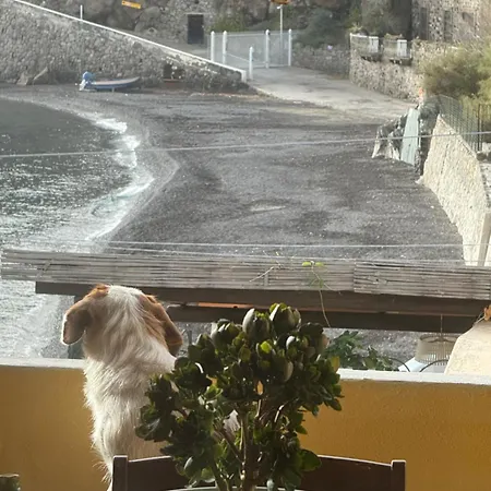 Da Sergio Sotto Casa Nyaraló *